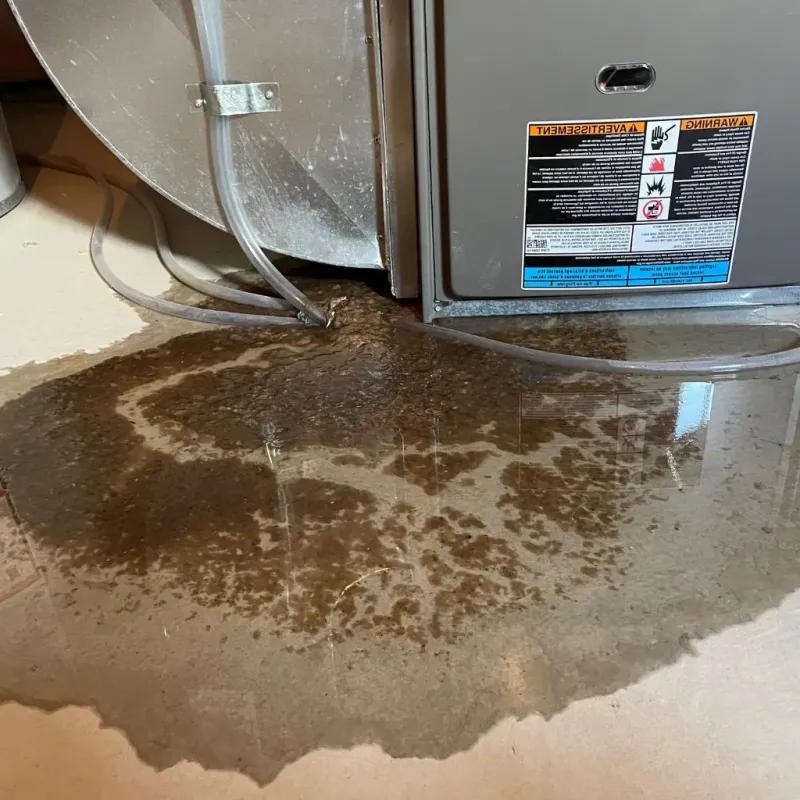 Pipe Burst and Leak Restoration in Sigourney, IA