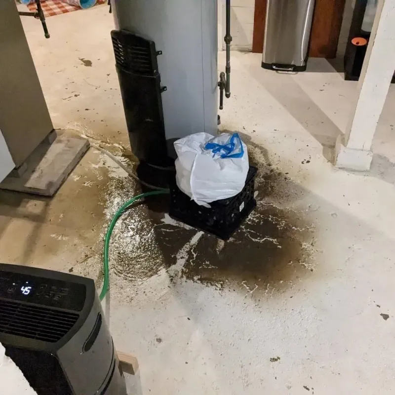 Sewage Backup Cleanup Service in Sigourney, IA